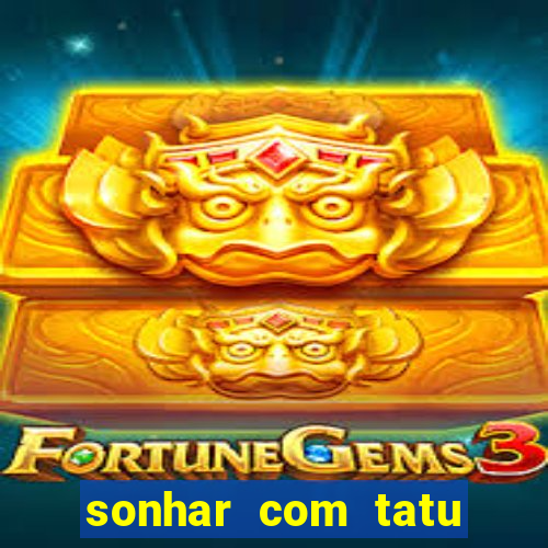 sonhar com tatu jogo do bicho